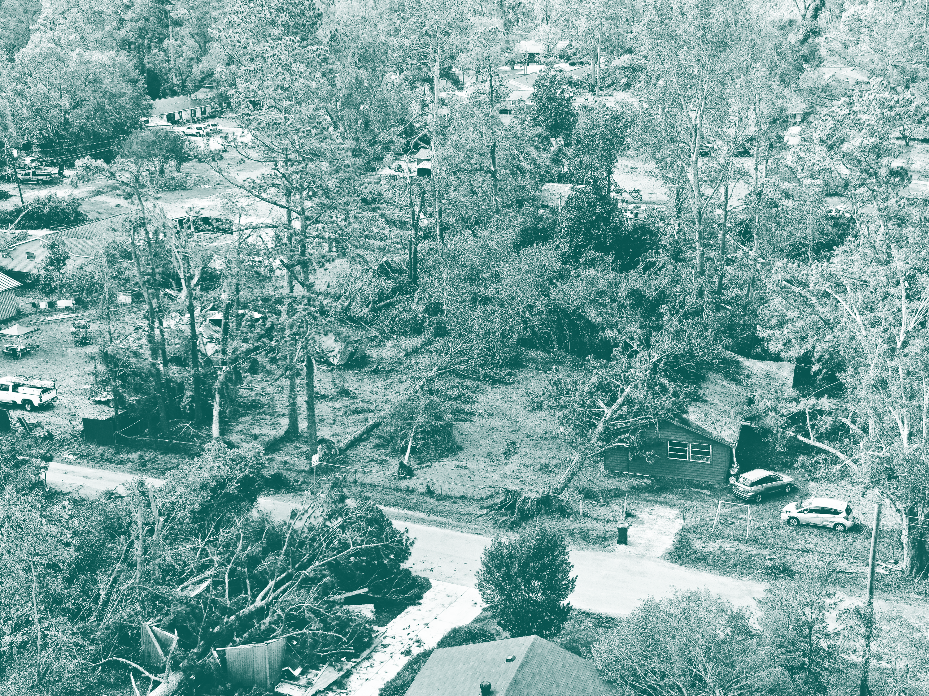 Broken Trees