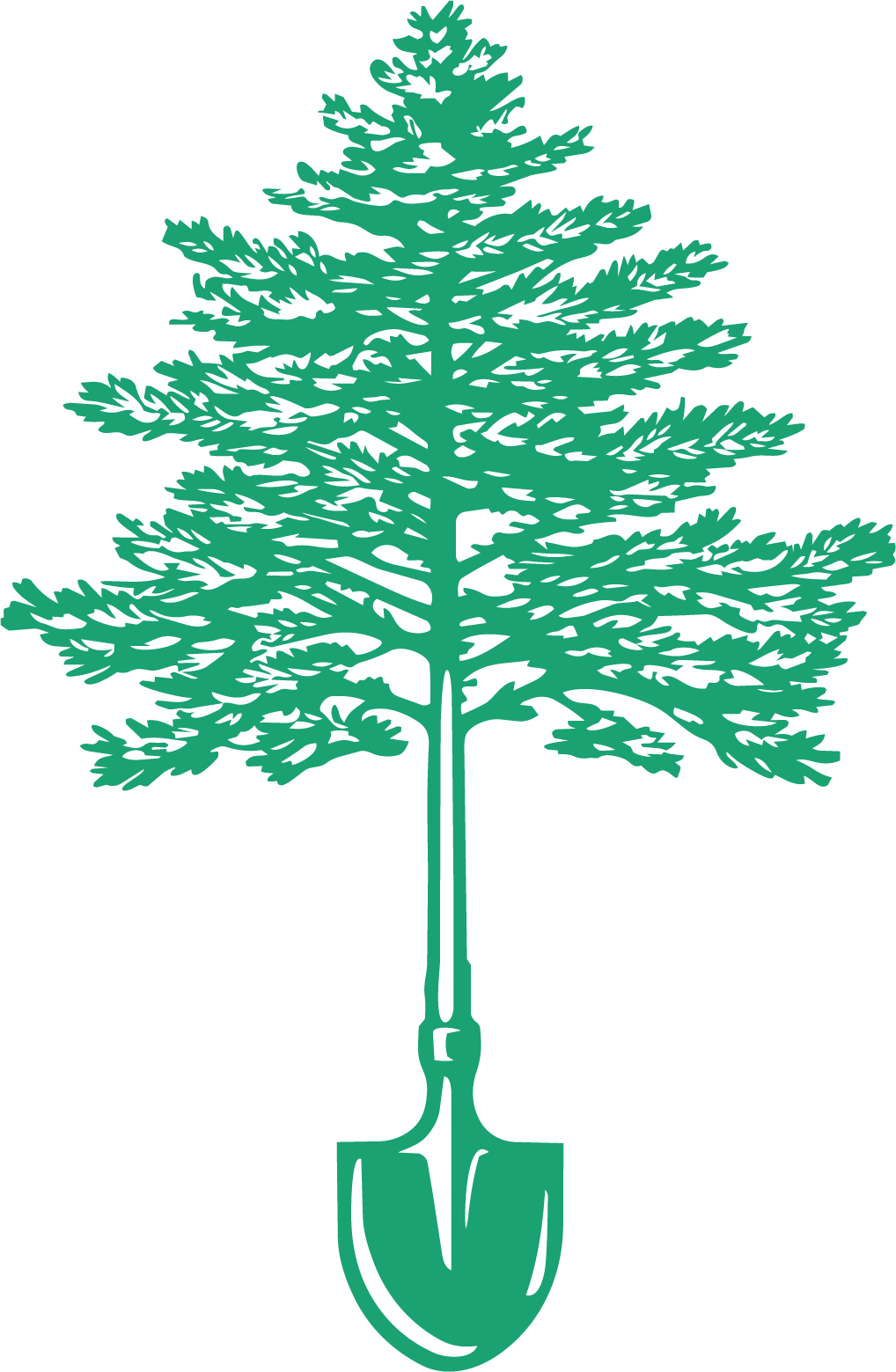 Tree Graphic